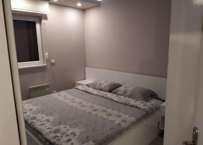 Verdelite 즐라티보